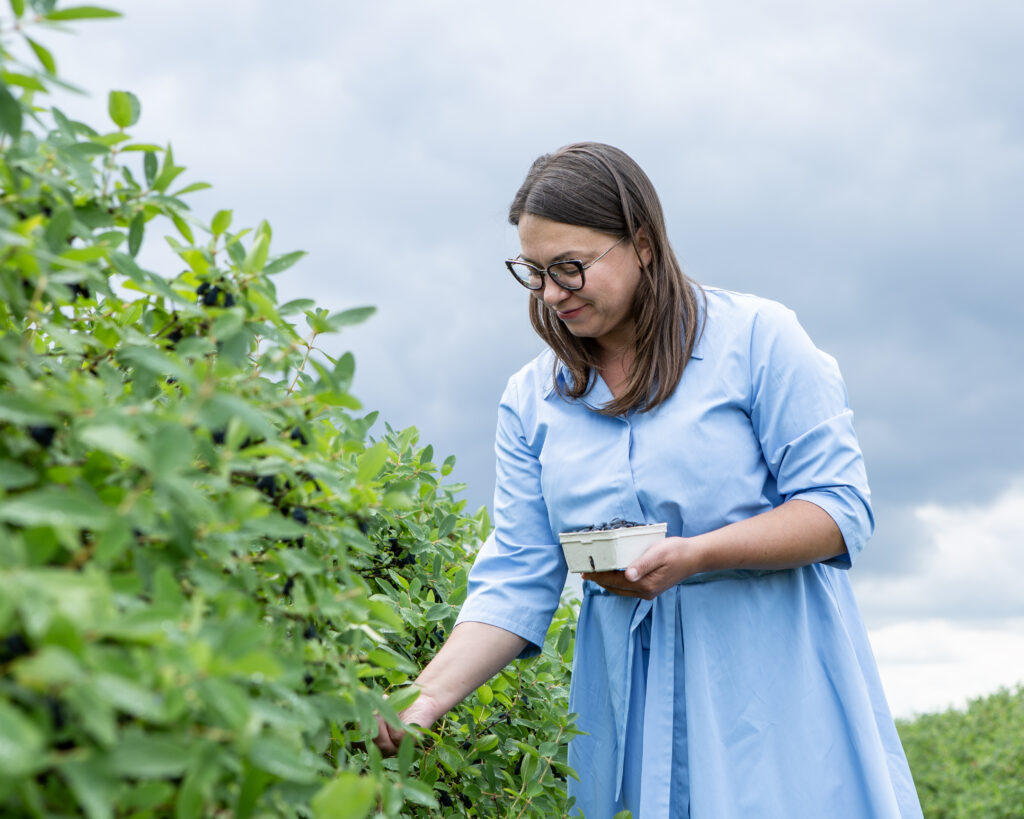 jagoda kamczacka ręcznie zbierana